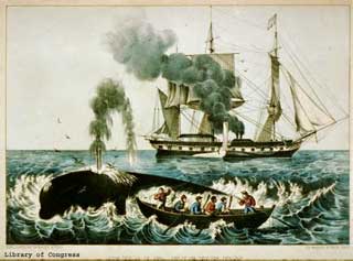 whaling illustration