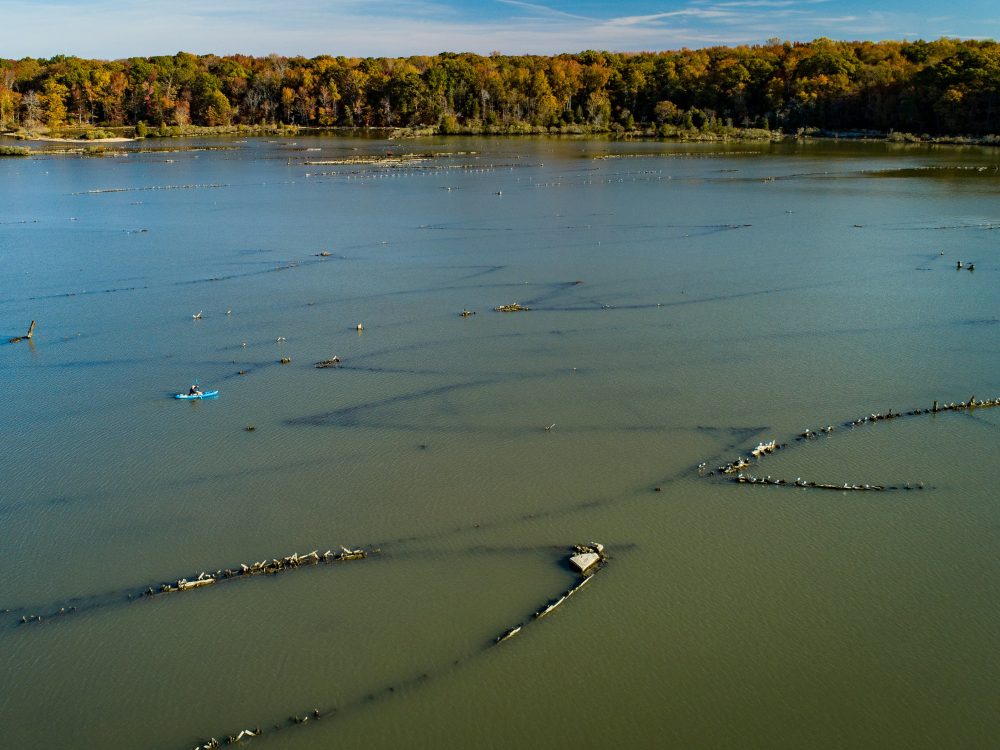 Remnants of ships are visible just below the surface of the water at Mallows Bay-Potomac River National Marine Sanctuary. Credit: National Marine Sanctuaries
