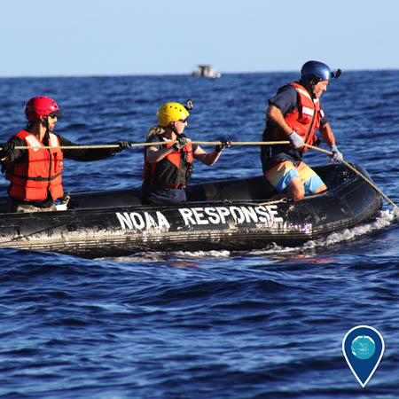 sanctuary responders on boat removing marine debris from a whale