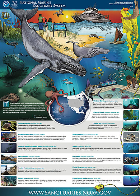 screenshot of the national system of marine sanctuaries brochure