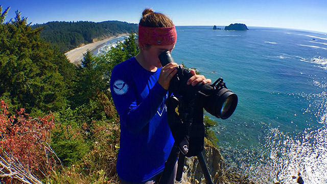 jessica hale observing otters through a telescope