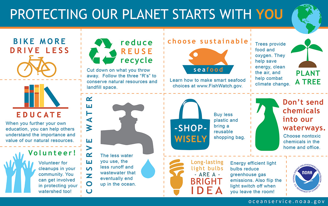 Infographic showing ten things you can do to protect the earth