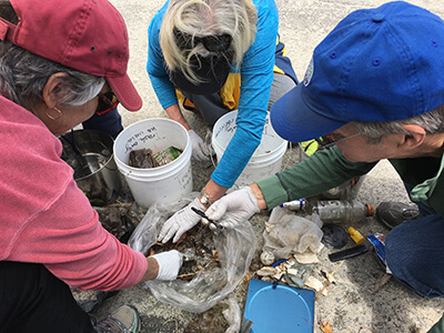 Volunteers examining marine debris