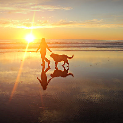 woman and dog on beach at sunset