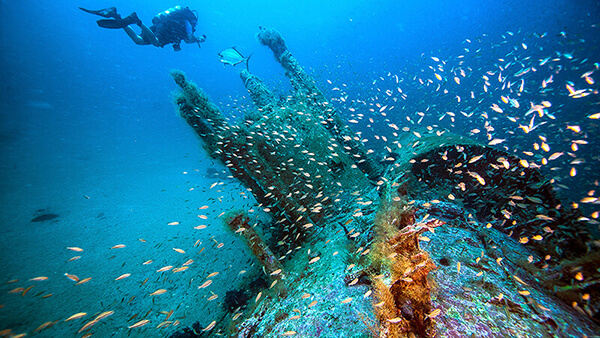 A diver swims near a sunken u-boat as fish swarm around