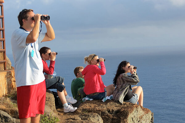 people sit on rocks and look out over the ocean through binoculars