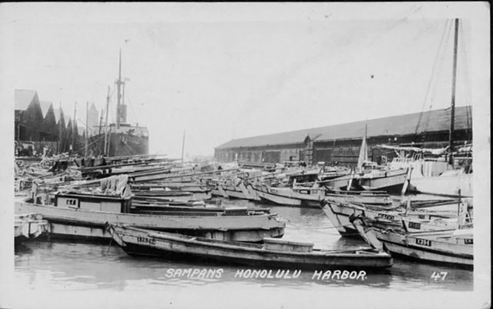 boats in a harbor