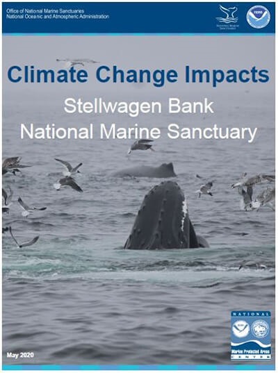 Cover of Stellwagen Bank National marine Sanctuary Climate Change Impacts Profile cover