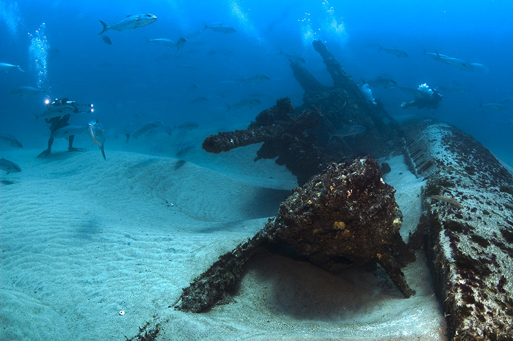 diver near a submarine shipwreck