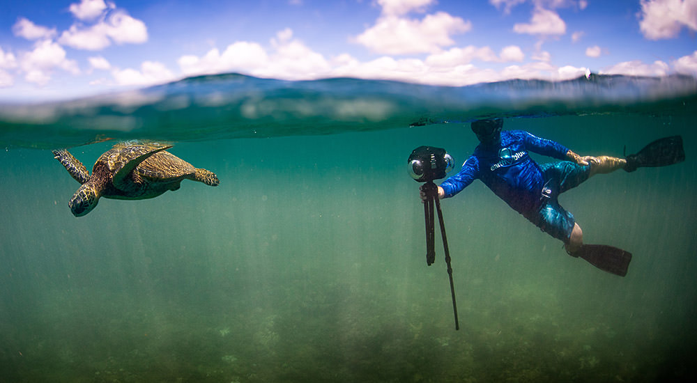 turtle swimming being filmed by a snorkler