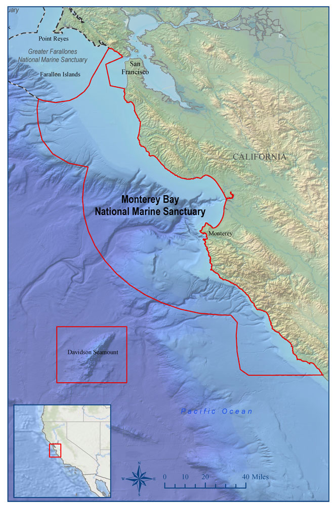 map of Davidson Seamount