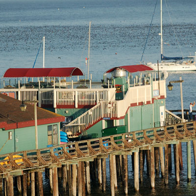 Pier surrounded by birds