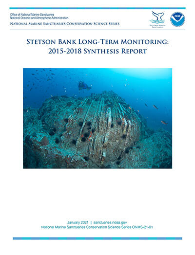 Stetson Bank Long-Term Monitoring: 2015-2018 Synthesis Report cover
