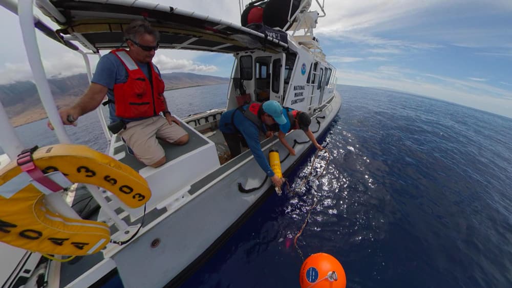 researchers deploy a fixed acoustic recording device attached to a float