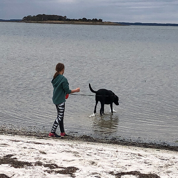 Leashed dog with owner walk in shallow water.
