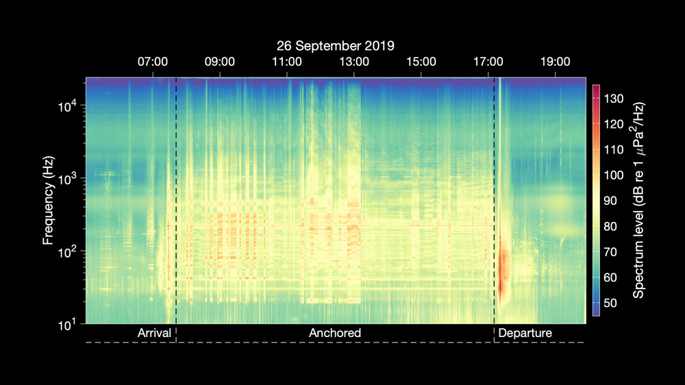 spectrogram showing the frequency of sound produced from a cruise ship.
