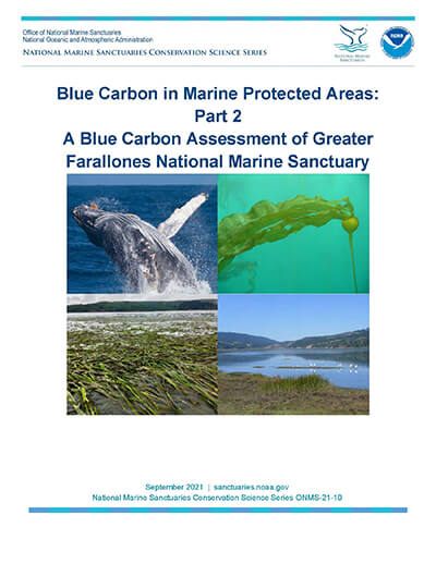 Blue Carbon in Marine Protected Areas: Part 2