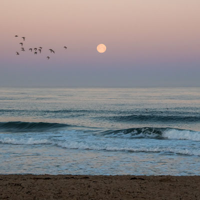 The moon over the ocean and a pink sky.