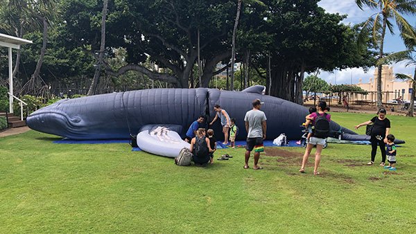 people examining a inflatable whale