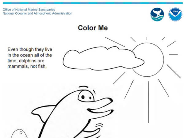 A dolphin coloring activity