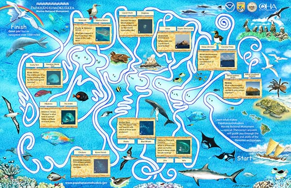 maze of the various islands and animals in papahanaumokuakea