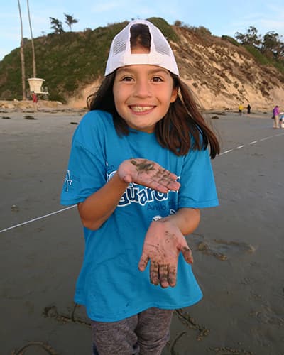 a child holding a sand crab in her hand