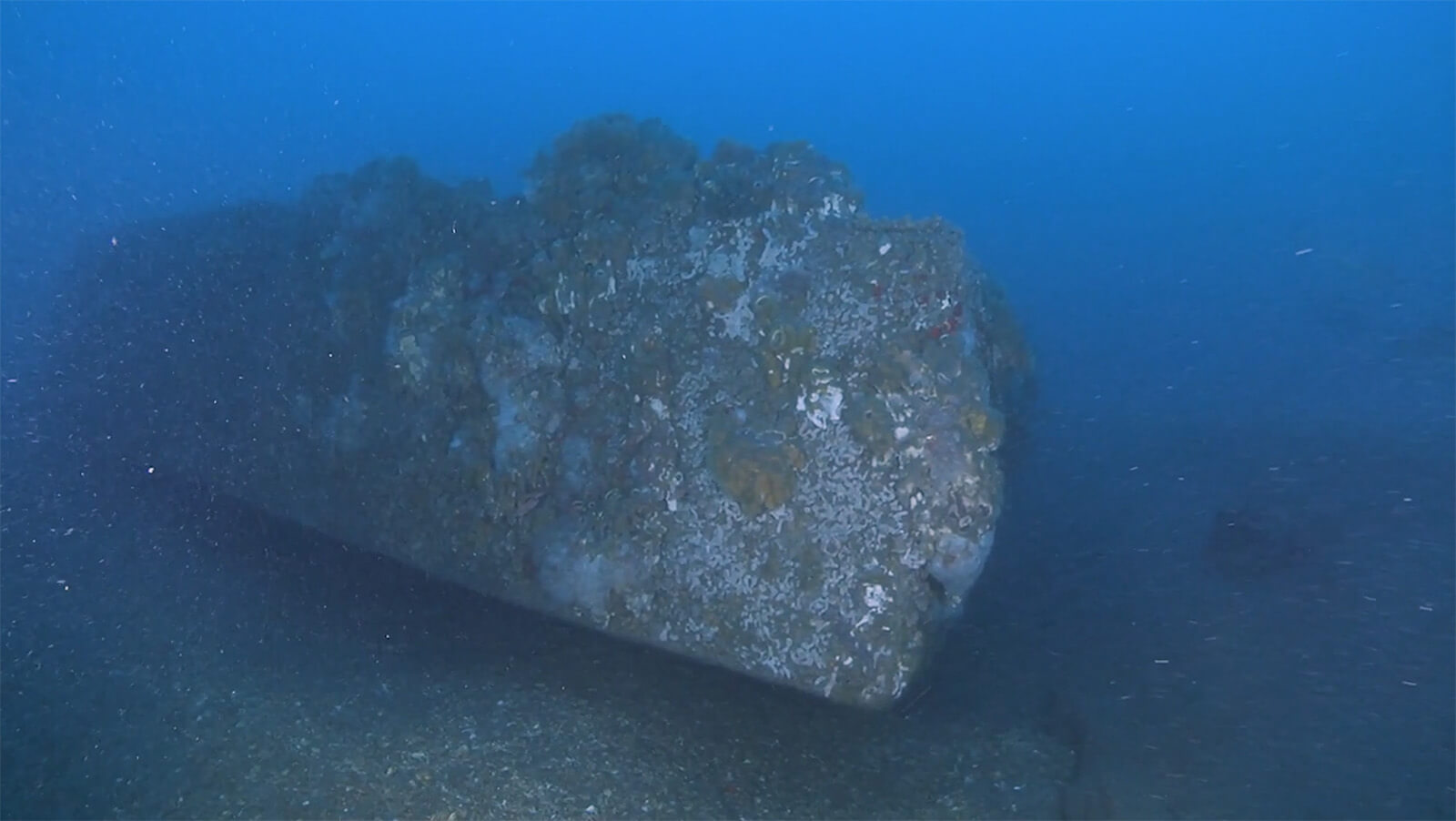 a shipwreck on the seafloor