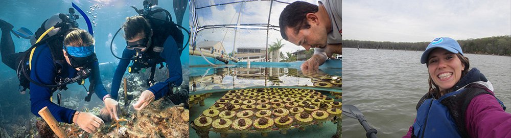 left to right: diver planting coral, coral growing in tub, marlies tumolo kayking
