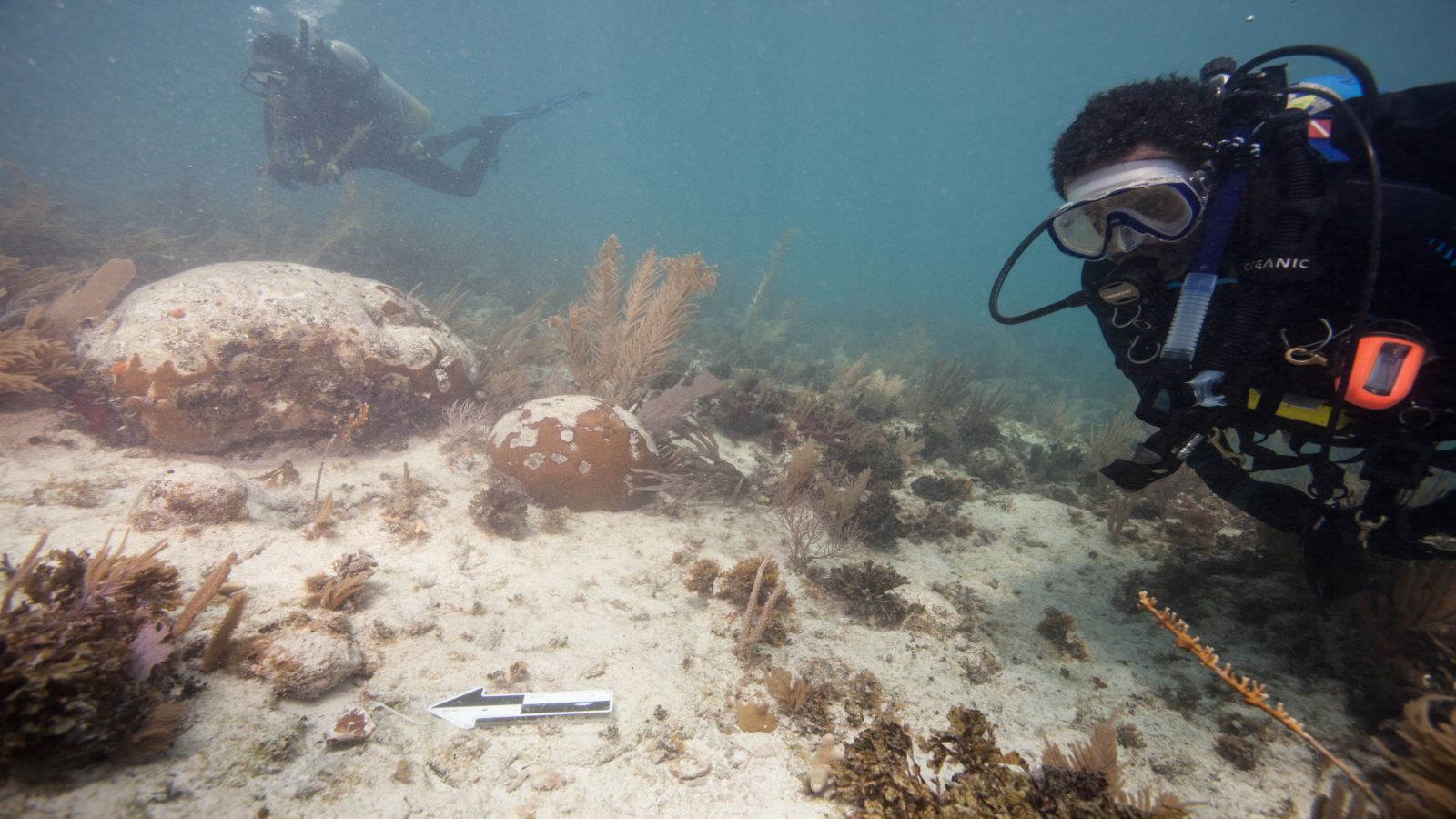 a scuba diver inspects an artifact on the seafloor