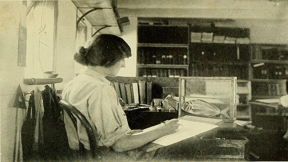 a woman with a sketch pad in her lap drawing a fish propped on the desk in front of her