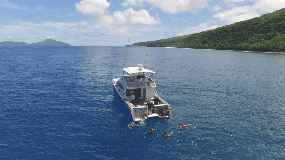 GIF of researchers aboard a vessel prepare to dive off Ta’u to check the health of a massive coral. The Manu'a islands can be seen off in the distance on this clear day.