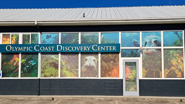 Olympic Coast Ocean Discovery Center