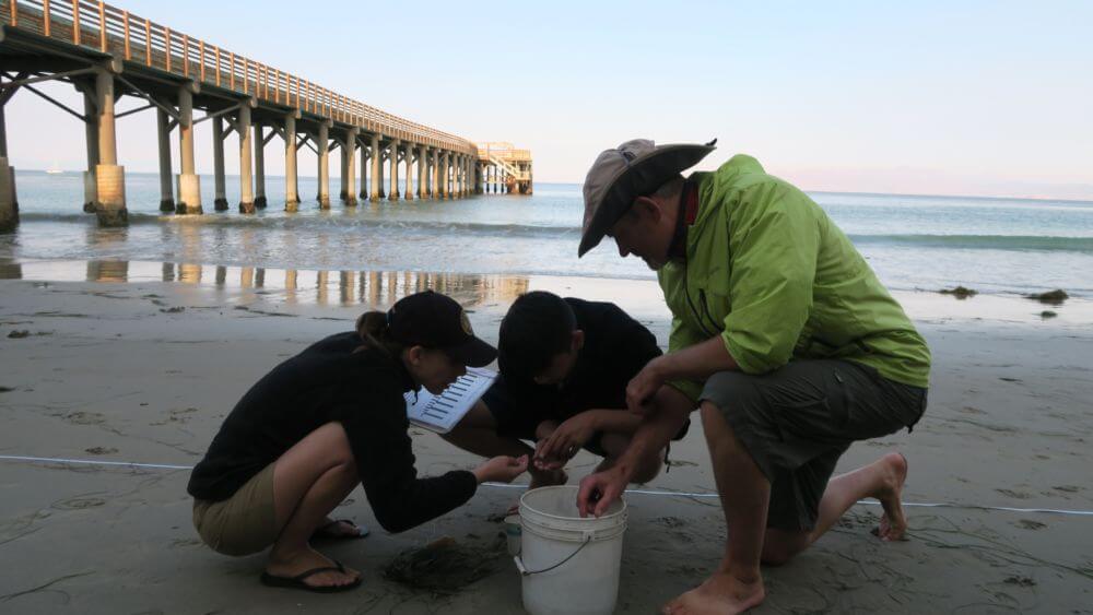 A teacher and two high school students kneel in the sand at Becher’s Bay on Santa Rosa Island monitoring for sand crabs in NOAA’s Channel Islands National Marine Sanctuary.