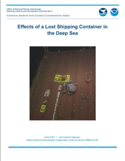 Effects of a Lost Shipping Container in the Deep Sea
