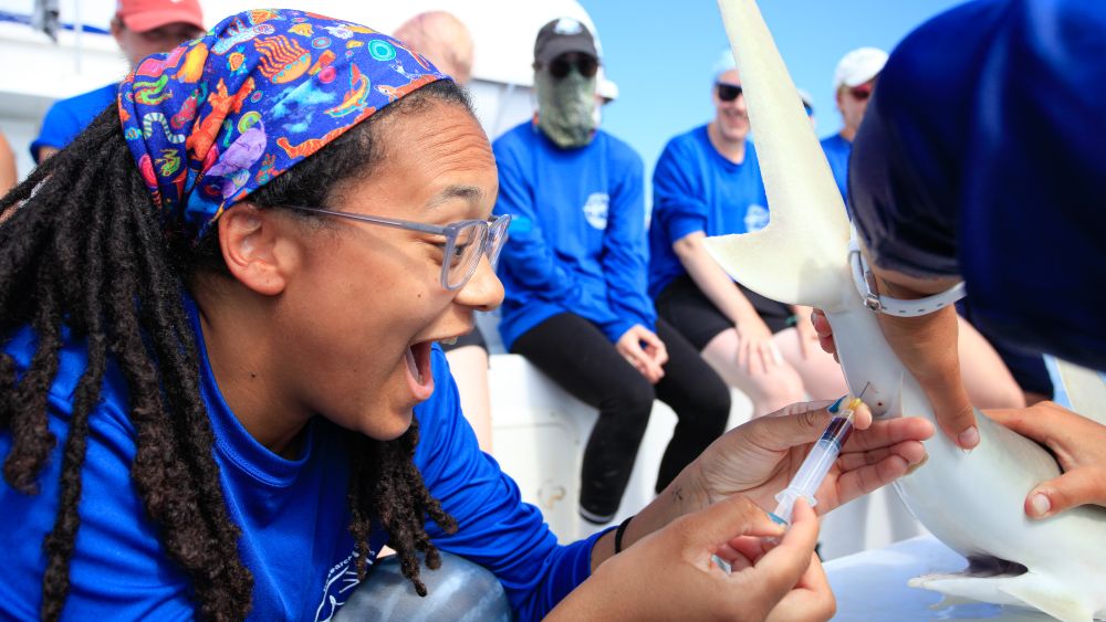 Jaida Elcock drawing blood from a shark aboard Field School’s research vessel.