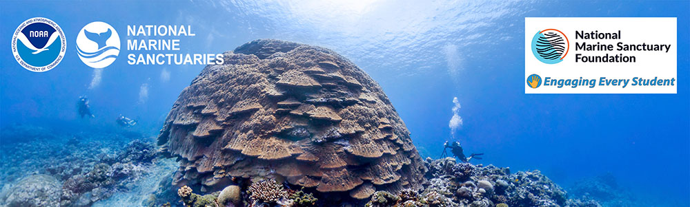 An underwater scene of a vibrant coral reef ecosystem in American Samoa with two scuba divers.