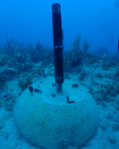 a hydrophone at the ocean bottom