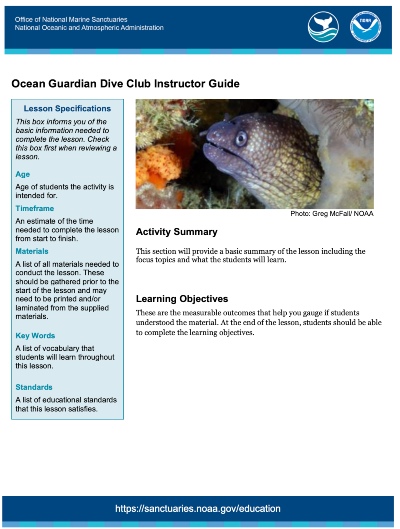 ocean guardian dive club instructor guide
