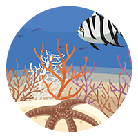 Gray's Reef Badge