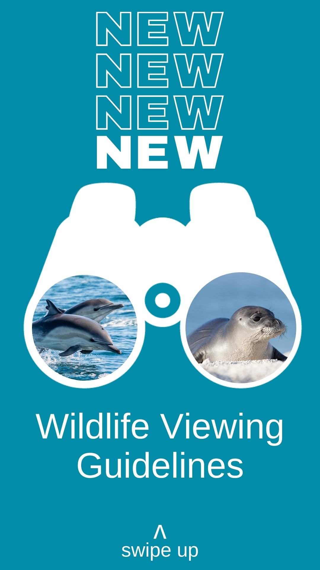 Instagram story graphic: new! wildlife viewing guidelines!