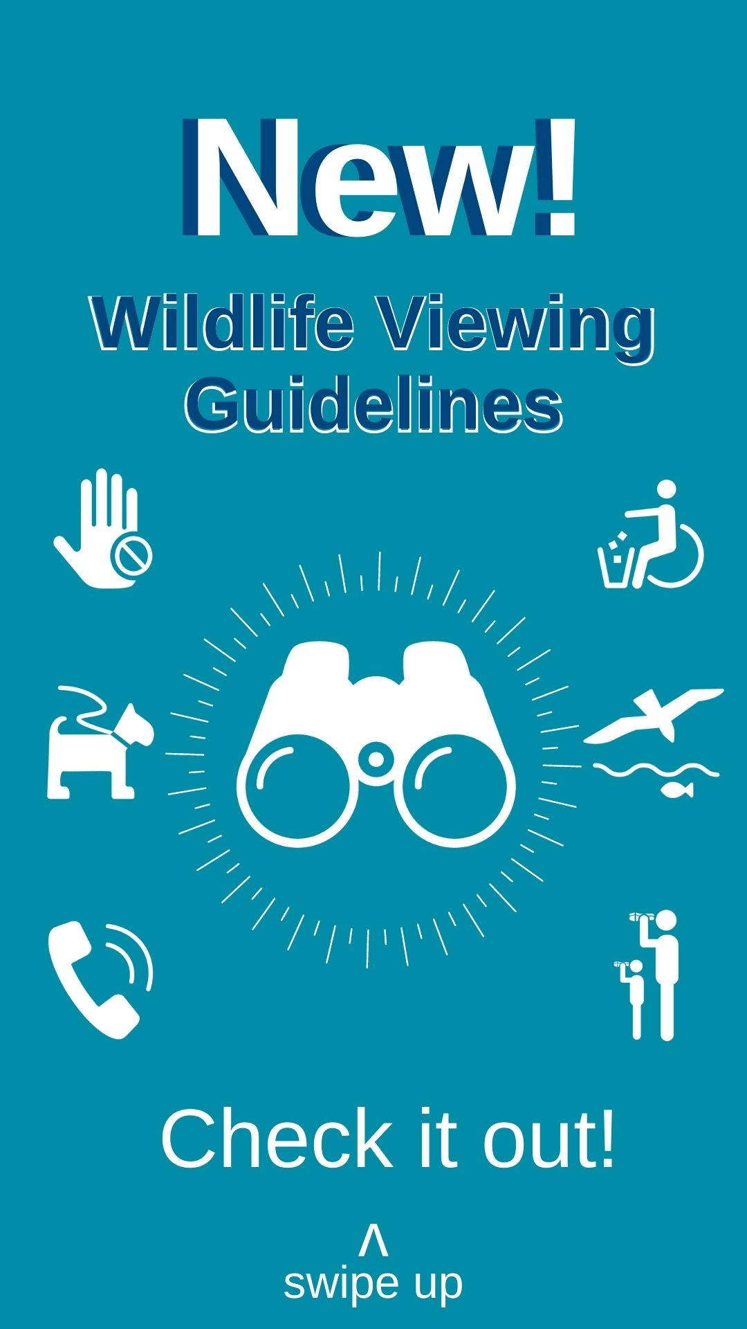 Instagram story graphic: new! wildlife viewing guidelines!