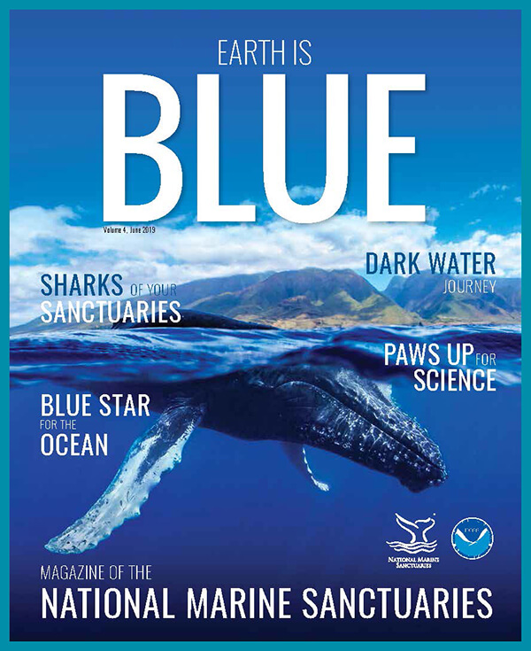 earth is blue magazine volume 4 cover - a humpback whale