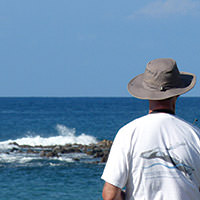 Volunteers observes whales from the shore