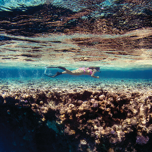 A woman swims above coral