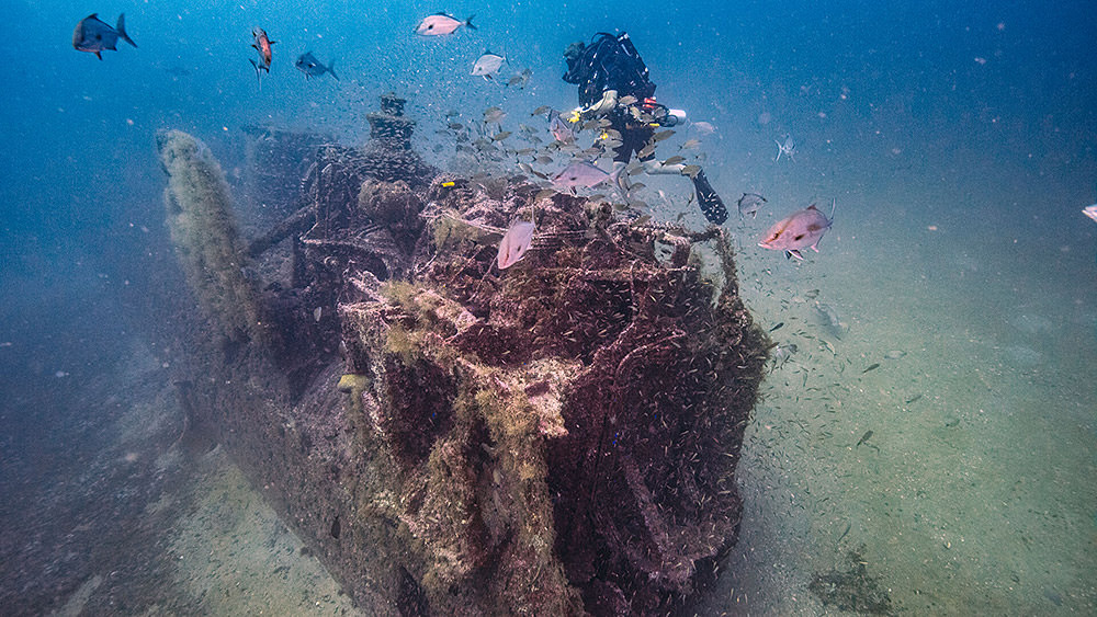 Diver aproaching the tarpon shipwreck