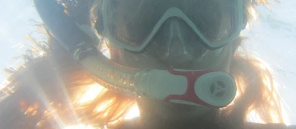 up close photos of a snorkeler's mask
