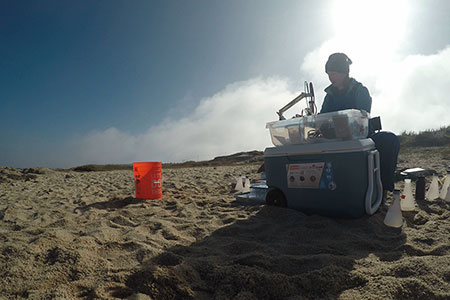 Dr. Nyssa Silbiger conducts research on the beach