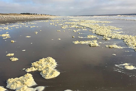 photo of foam on the beach