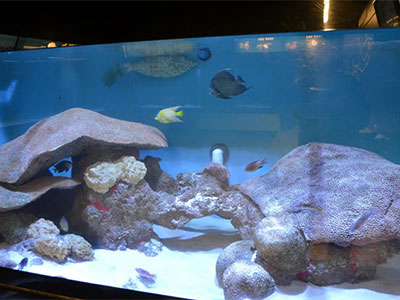 view of aquarium