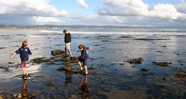 kids playing in tide pool